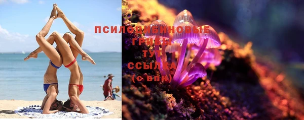 дмт Нефтекумск