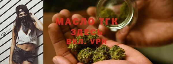 МДПВ Нея