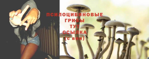 МДПВ Нея