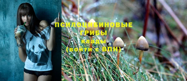 дмт Нефтекумск