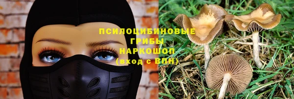 МДПВ Нея