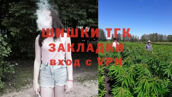 МДПВ Нея