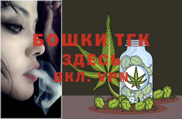 Альфа ПВП Пересвет